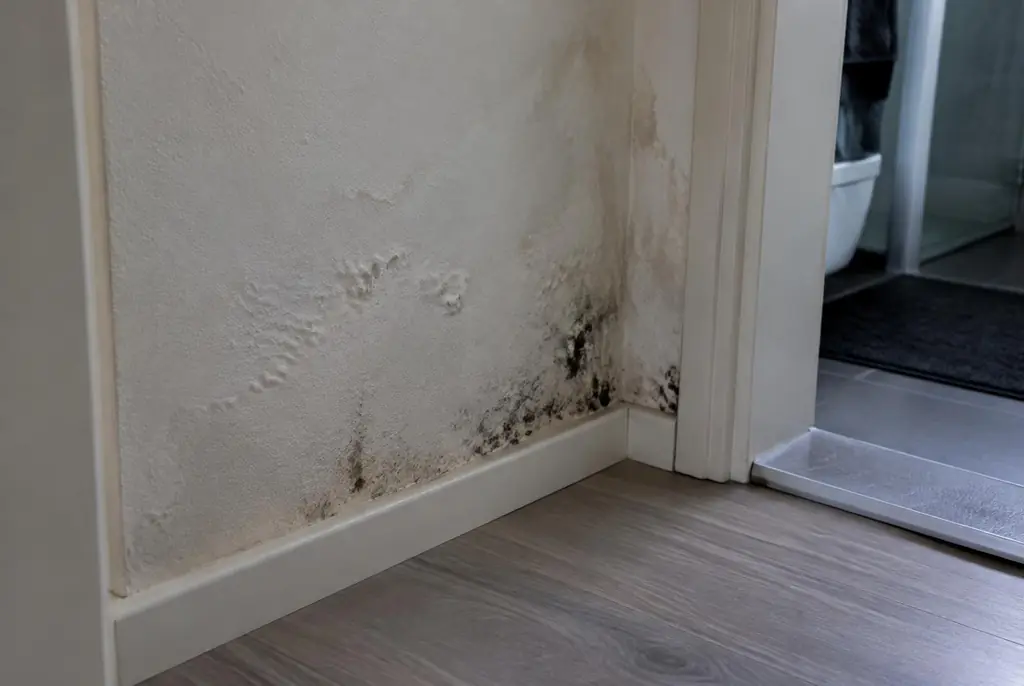 Lekdetectie Bussum – vochtplek met schimmel op een muur